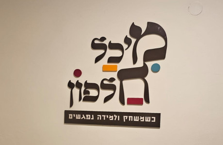 לוגו פיויסי 4 גווני צבע 